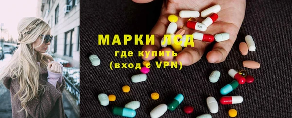 PSILOCYBIN Костерёво