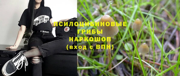 PSILOCYBIN Костерёво