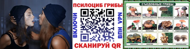 Псилоцибиновые грибы Psilocybine cubensis купить наркотики цена Михайловка